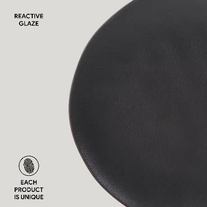 Bio 10.4" Bio Matte Black Dinner Plate Set